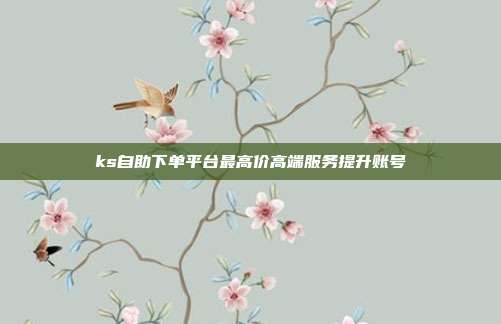 ks自助下单平台最高价高端服务提升账号