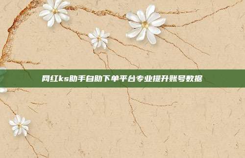 网红ks助手自助下单平台专业提升账号数据