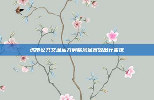 城市公共交通运力调整满足高峰出行需求