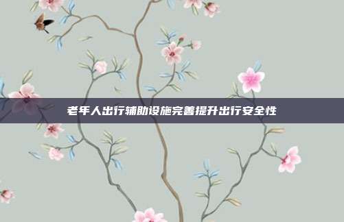 老年人出行辅助设施完善提升出行安全性