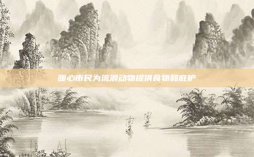 暖心市民为流浪动物提供食物和庇护