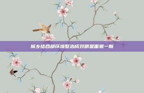 城乡结合部环境整治成效明显面貌一新