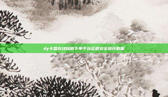 dy卡盟在线自助下单平台正规安全提升数据