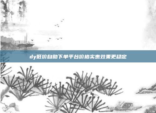 dy低价自助下单平台价格实惠效果更稳定