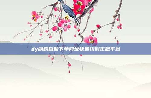 dy刷粉自助下单网址快速找到正规平台