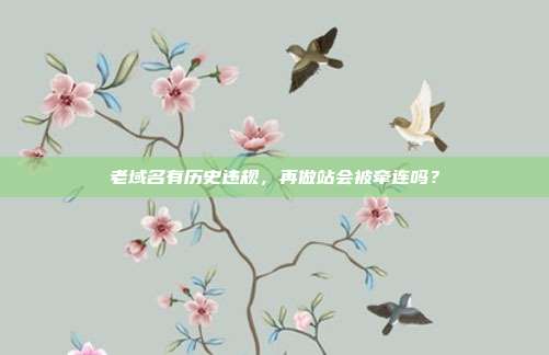 老域名有历史违规,再做站会被牵连吗?