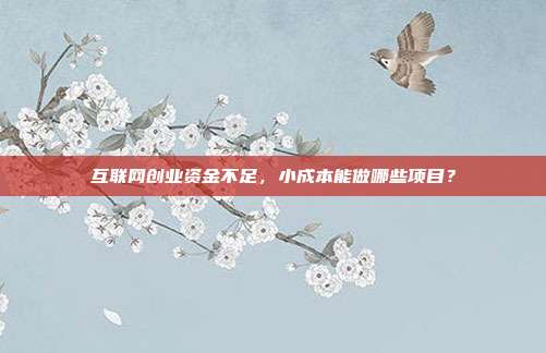 互联网创业资金不足,小成本能做哪些项目?