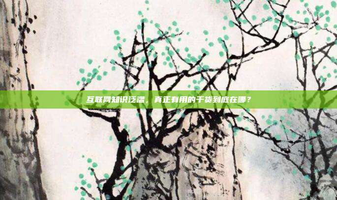 互联网知识泛滥，真正有用的干货到底在哪？