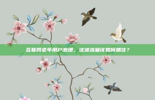 互联网老年用户激增，这波流量该如何抓住？