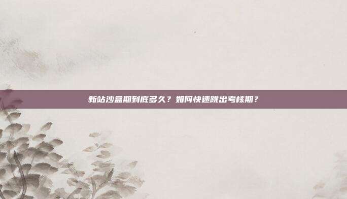 新站沙盒期到底多久？如何快速跳出考核期？