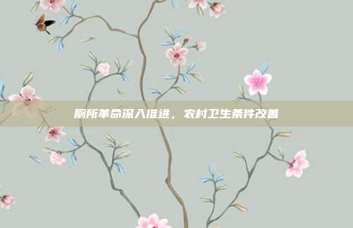 厕所革命深入推进，农村卫生条件改善