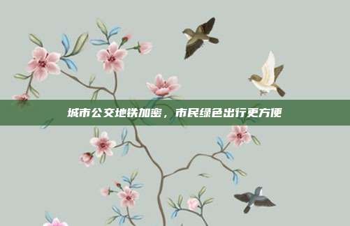 城市公交地铁加密，市民绿色出行更方便