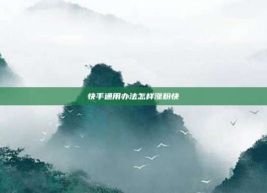 快手通用办法怎样涨粉快