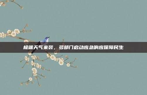 极端天气来袭,多部门启动应急响应保障民生