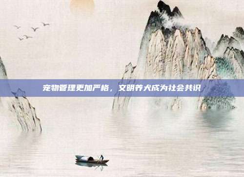 宠物管理更加严格,文明养犬成为社会共识