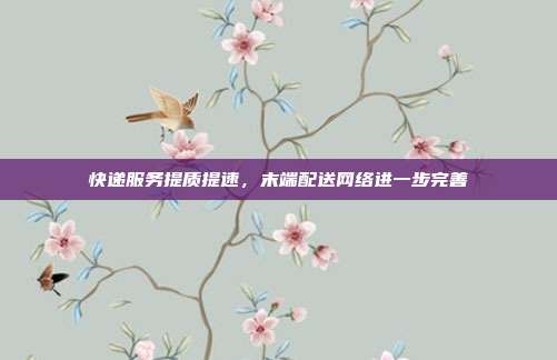 快递服务提质提速,末端配送网络进一步完善