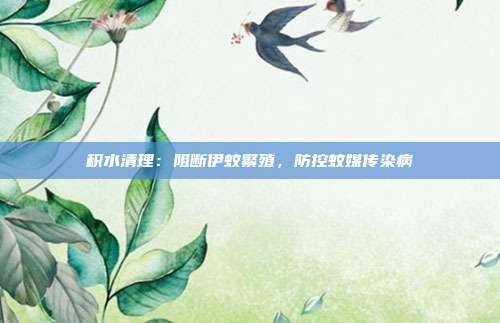 积水清理：阻断伊蚊繁殖，防控蚊媒传染病