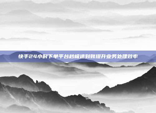 快手24小时下单平台秒极速到账提升业务处理效率