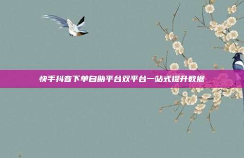快手抖音下单自助平台双平台一站式提升数据