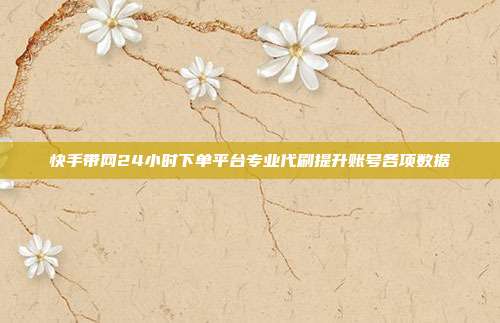 快手带网24小时下单平台专业代刷提升账号各项数据