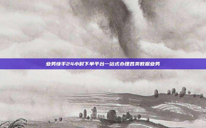 业务快手24小时下单平台一站式办理各类数据业务