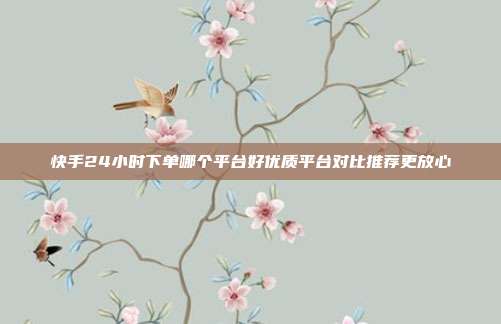 快手24小时下单哪个平台好优质平台对比推荐更放心