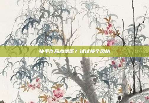 快手作品点赞低?试试换个风格