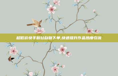 超低价快手粉丝自助下单,快速提升作品热度引流
