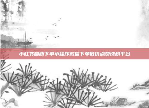 小红书自助下单小程序微信下单低价点赞涨粉平台