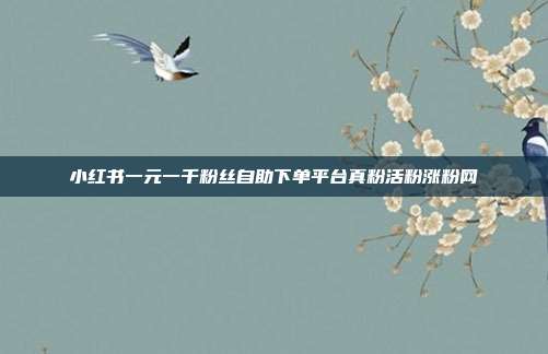 小红书一元一千粉丝自助下单平台真粉活粉涨粉网