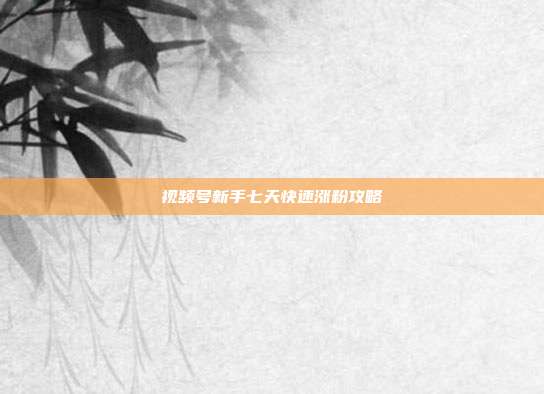 视频号新手七天快速涨粉攻略