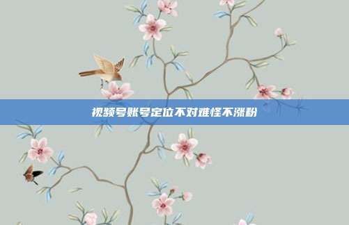 视频号账号定位不对难怪不涨粉