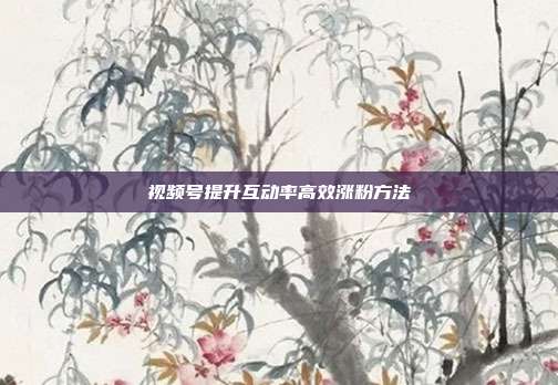 视频号提升互动率高效涨粉方法