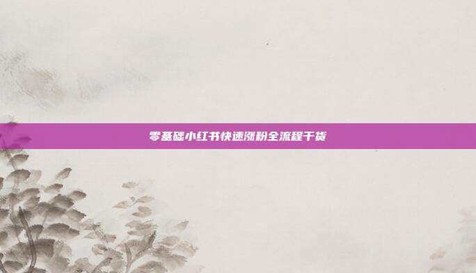 零基础小红书快速涨粉全流程干货