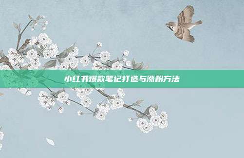 小红书爆款笔记打造与涨粉方法