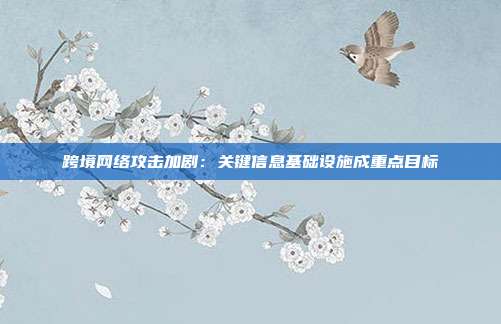 跨境网络攻击加剧：关键信息基础设施成重点目标