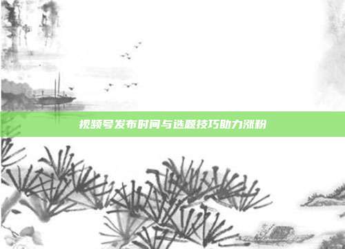 视频号发布时间与选题技巧助力涨粉