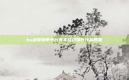 ks点赞接单平台真实互动提升作品数据