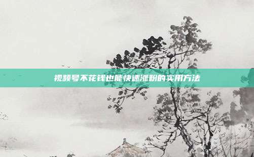 视频号不花钱也能快速涨粉的实用方法
