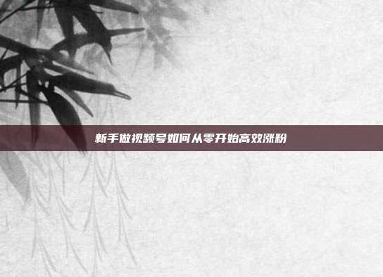 新手做视频号如何从零开始高效涨粉