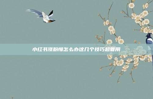 小红书涨粉慢怎么办这几个技巧超管用