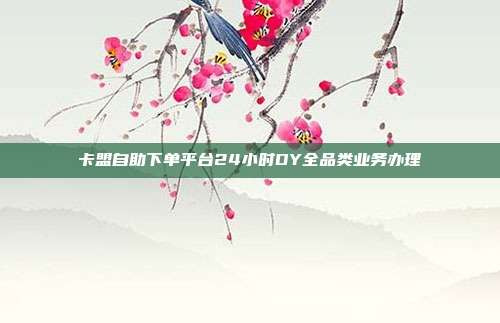 卡盟自助下单平台24小时DY全品类业务办理