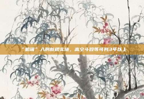 “机闹”入刑新规实施，高空斗殴等可判3年以上