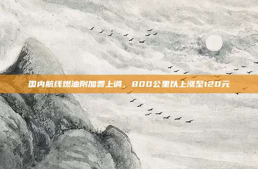 国内航线燃油附加费上调，800公里以上涨至120元