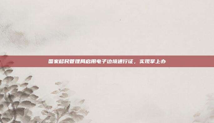 国家移民管理局启用电子边境通行证，实现掌上办