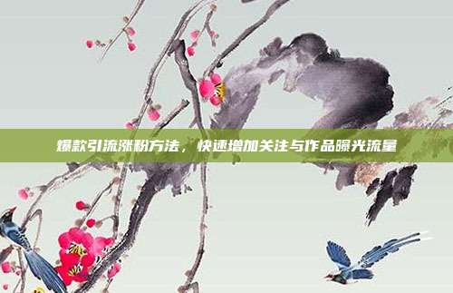 爆款引流涨粉方法，快速增加关注与作品曝光流量