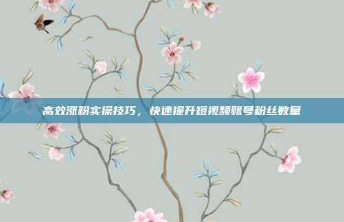 高效涨粉实操技巧，快速提升短视频账号粉丝数量