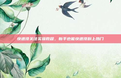 快速涨关注实操教程，新手也能快速涨粉上热门