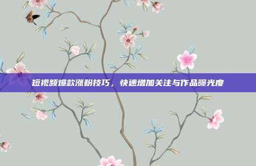 短视频爆款涨粉技巧，快速增加关注与作品曝光度