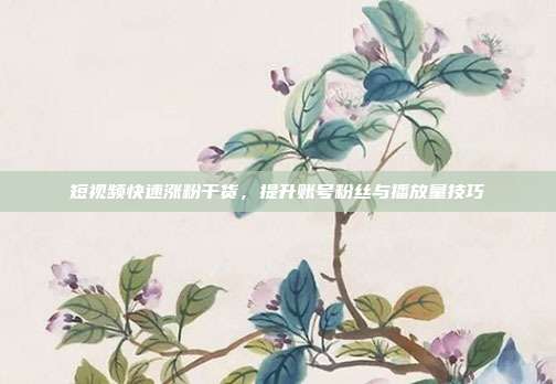短视频快速涨粉干货，提升账号粉丝与播放量技巧